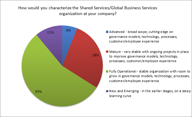 characterization of shared services organizations of companies